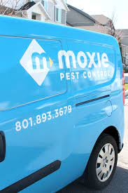 Moxie pest control provides superior services to eliminate bugs, rodents, and other pests from the homes and businesses of their clients. I Found It For You The Best Pest Control Company