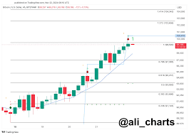 ADA To $6? Cardano Gains Momentum With Massive Whale Accumulation