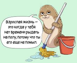 images?q=tbn:ANd9GcQbe5SJCdPXimM3jEhS0MG37sA_uARqfm-sCA&usqp=CAU