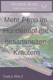 Natur Im Napf Naturliche Futterzusatze Teil 2 Tabus Welt Hundenapf Hunde Ernahrung Hundeernahrung