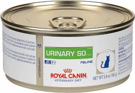 When you need the right food for cats, consider royal canin veterinary diet feline urinary s/o dry cat food will make your cat meow, i can finally comfortably go to the bathroom again! The 8 Best Cat Foods For Urinary Tract Health In 2021