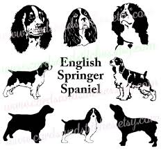 Black And White Springer Spaniel Clipart Spaniel Svg English Spaniel Svg Springer Spaniel Svg Etsy In 2020 English Spaniel Spaniel Springer Spaniel