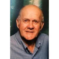 Stuart Davis Obituary