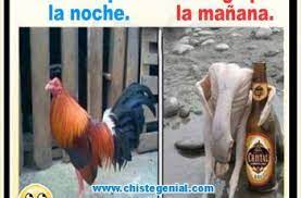 Chistes De Cortos De Borrachos Oracion Del Borracho Funny Pictures Humor Memes