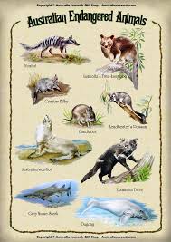 Give Animals A Voice About Australian Endangered Animals