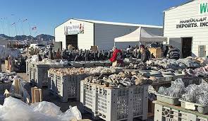 Quartzsite Arizona Rock And Gem Show Events Calendar 2017 Swap Meet Arizona Rocks Quartzsite Arizona Arizona