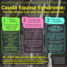 Cauda Equina Syndrome Discussions On Twitter I Have Cauda Equina