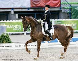 *** i saw bella rose for the first time when she was three years old. Bella Rose To Be Ridden By Isabell Werth At Fritzens Austria In Return To Competition After 4 Year Break Dressage News