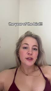 Funny Football Pigeon: Hilarious Bird Interference in NFL Game