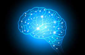 3,518 likes · 115 talking about this. Amazing Facts You Didn T Know About Your Brain Cleveland Clinic