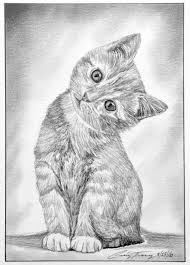 Sketch Of A Kitten By Craig Tracy Kitten Drawing Cat Painting Cat Art