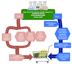 Why genetic testing may lead to ethical dilemmas. Same Science Different Policies Regulating Genetically Modified Foods In The U S And Europe Science In The News
