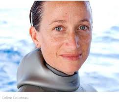 Wellsville Regional News (dot) com: October 2018