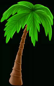 12 Cartoon Palm Tree Png Pohon Kelapa Animasi