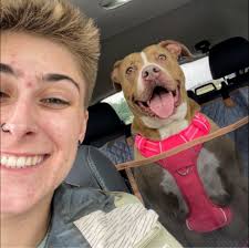 What are the risks of driving a Subaru with an oil leak into coolant to get  a CVT health test?