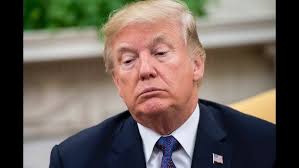 Standing Up For Those Who Can't