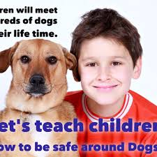 THE BEST 10 HOLISTIC ANIMAL CARE in ALBANY, OR