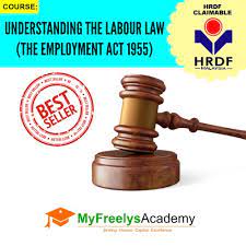 We did not find results for: Understanding The Labor Law The Employment Act 1955 Hrdf Claimable Training Courses And Programs For Hr Practitioners In Malaysia