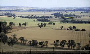 Ils sont offerts dedans une large gamme. Habitat Amount Versus Connectivity An Empirical Study Of Bird Responses Sciencedirect