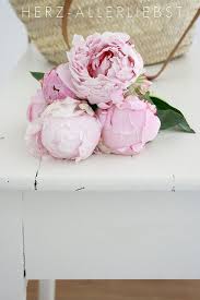 Light Pink Peonies Pink Peonies Best Flower Delivery Flower Beauty