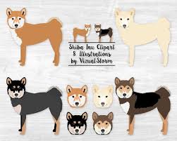 Black And Tan Shiba Inu Chihuahua Mix Shiba Inu Clipart Japanese Spitz Dog Breeds Full Body Etsy Japanese Spitz Dog Shiba Inu Dog Breed Poster