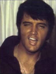 900+ Elvis! ideas