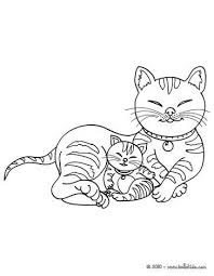 Largest domestic cats 10 largest domestic cat breeds (ranked) view more + cat wallpapers (2560x1440) paper crane, bubbles Pin By Wanda Twellman On Just Cats Coloring 1 Cat Coloring Page Kittens Coloring Cat Drawing For Kid