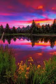 Image result for beautiful nature