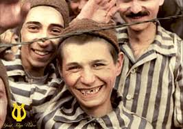 Chabad/Jewish Virginia Beach