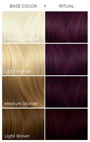 Pin On Coloracion De Cabello