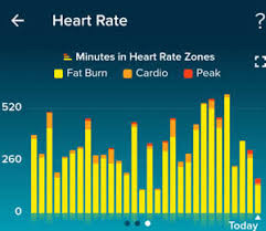 My Fitbit Charts Weight Loss And Health Steps Heart Rate