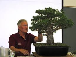 Bonsai Old Herbaceous