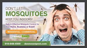 Down East Pest Control