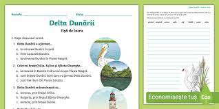 The danube delta is the second largest river delta in europe, after the volga delta, and is the best preserved on the continent. Delta DunÄrii FiÈÄ De Lucru Cu Completare DigitalÄ