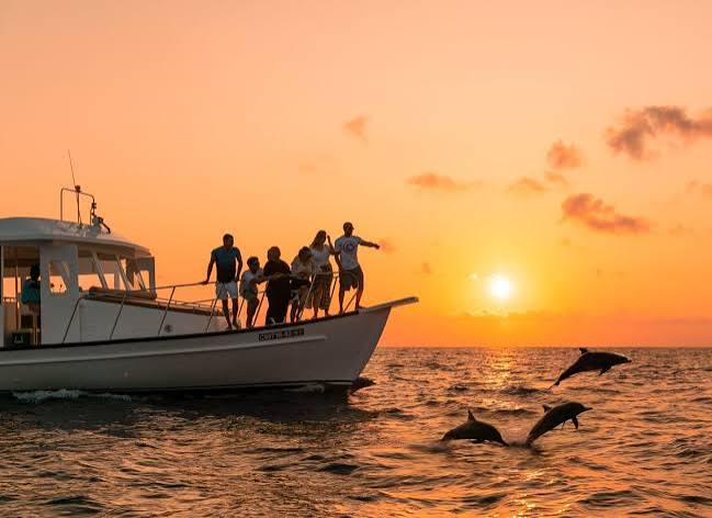 DOLPHIN CRUISE | SAii Lagoon Maldives, Curio Collection by Hilton. | Ocean Group