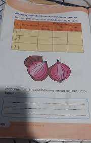 Kunci jawaban tema 3 kelas 3 halaman 168. Kunci Jawaban Tema 1 Kelas 3 Sd Halaman 168 Brainly Co Id