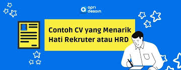 10 contoh curriculum vitae fresh graduate. 6 Contoh Desain Cv Menarik Dan Simple Buat Melamar Kerja