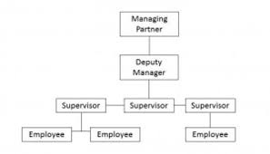 why defining a corporate structure for startups matters