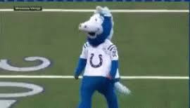 You wanna be in the nfl someday kid? Lol What Is Up With The Colts Mascot Secrant Com