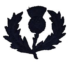 Our role is to grow the game and inspire scotland through rugby in line with our values of respect, leadership, achievement, engagement and enjoyment. Scotland National Rugby Union Team Logopedia Fandom