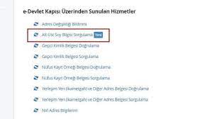 Soy Agaci Sorgulama Sayfasi E Devlet Te Acilacak Mi Soy Agaci Sorgulama Ne Zaman Yeniden Acilacak