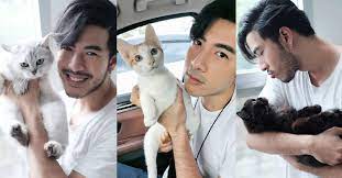 'โย่ง อาร์มแชร์'จอดรถลงช่วยลูกแมวกลางถนน 04 พฤษภาคม พ.ศ. à¹€à¸ à¸šà¸•à¸ à¸§ à¸™à¹à¸¡à¸§à¸ªà¸²à¸à¸¥ à¹‚à¸¢ à¸‡ à¸­à¸²à¸£ à¸¡à¹à¸Šà¸£ à¸ à¸šà¹€à¸ˆ à¸²à¹€à¸«à¸¡ à¸¢à¸§à¸™ à¸­à¸¢à¸— à¹€à¸ à¸šà¸¡à¸²à¹€à¸¥ à¸¢à¸‡