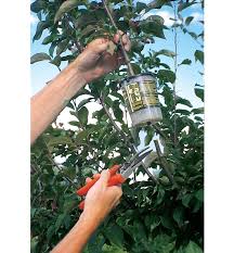 Fill until level with the top of the root ball. Air Root Pots Laptrinhx News