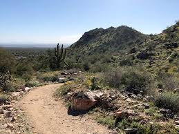 White tank mountain regional park. White Tank Wildflowers Adventures From Arizona To Alberta