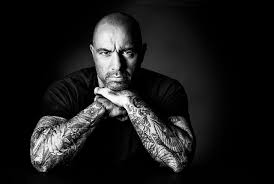 Joe rogan is a man of many talents. Joe Rogan Has A Step Daughter And 2 Other Kids With Wife Jessica Ditzel Meet His Family