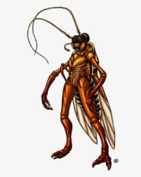 transparent cockroach clipart roach drawing hd png download transparent png image pngitem roach drawing hd png download