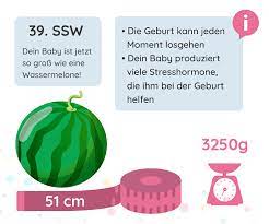 39 Ssw Schwangerschaftswoche Elternkompass