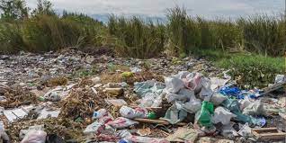 Serious Effects Of Plastic Pollution On Our Health Greentumble