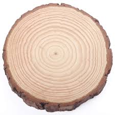 Amazon Com Fuhaieec Wood Slices Natural Unfinshed Round Pine Wood Slabs 7 To 8 4 Pack Large Ru Tree Bark Crafts Wood Slice Crafts Christmas Tree Crafts