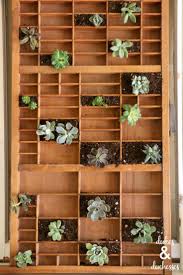 11 Ways To Repurpose Letterpress Drawers Letterpress Drawer Vertical Succulent Gardens Vertical Garden